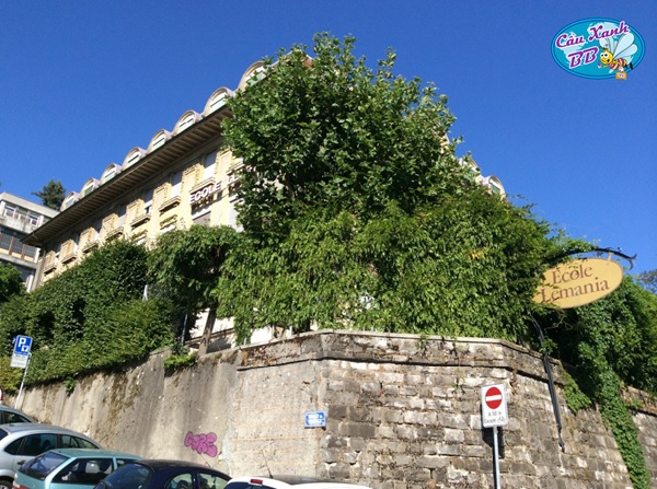 Trường tư thục Lemania College Lausanne là trường tốt ở Thụy Sĩ