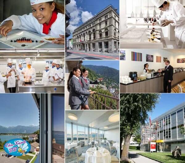 Và làm quen với ngành Quản trị du lịch khách sạn cũng là một đặc trưng khi du học hè tại Thụy Sỹ