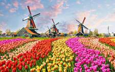 Tại sao chọn du học H&agrave; Lan, tại sao chọn Amsterdam? Kho&aacute; học n&agrave;o hấp dẫn cho bạn?