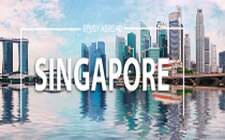 C&ocirc;ng ty tư vấn du học Singapore uy t&iacute;n