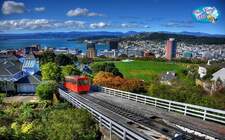 Gi&aacute;o dục New Zealand từ phổ th&ocirc;ng, trung học tới cao đẳng học nghề, học tiếng v&agrave; đại học