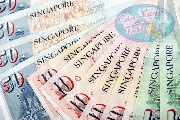 Cùng công ty Cầu Xanh tìm hiểu chi tiết chi phí du học Singapore